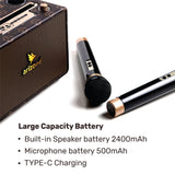 ARIZONE Karaoke Speaker with 2 Wireless Microphone, Portable Bluetooth Karaoke Speaker for Kids and Adults